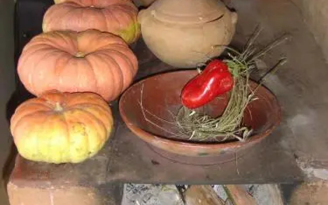 Orgânica-Mente B&B