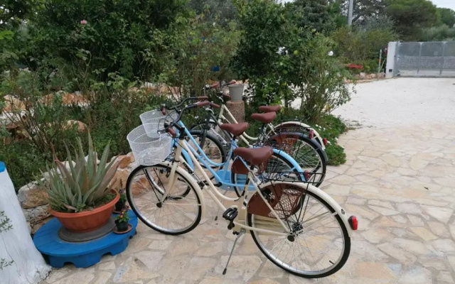 B&B Oceano