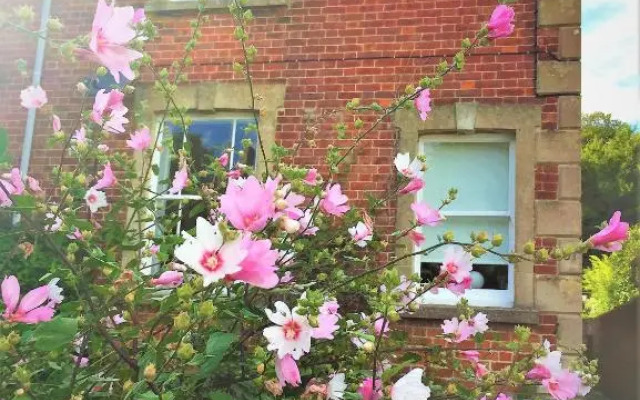 Bridport Garden Suite
