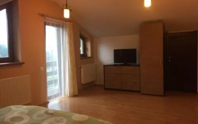 Apartament Miruna