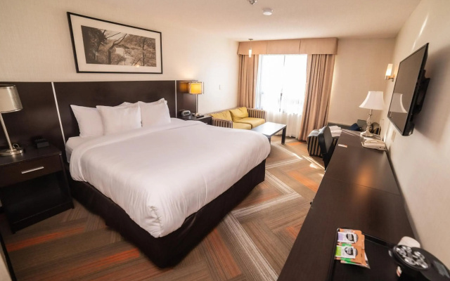Quality Hotel