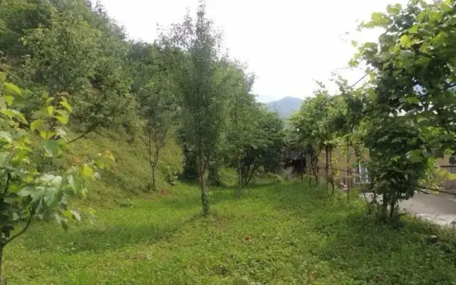 Guesthouse Rustaveli Str. 7