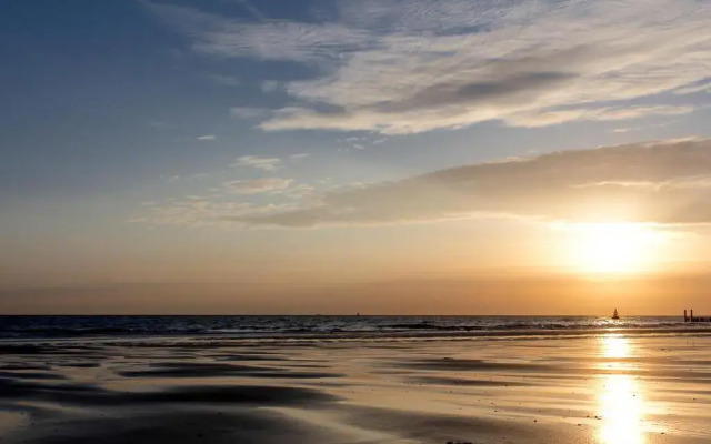 Boszicht 6 aan de Kust