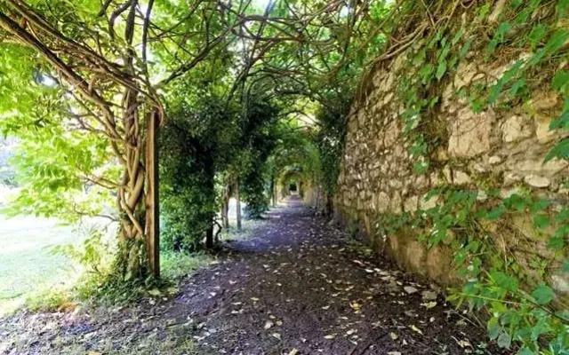 Villa Organi