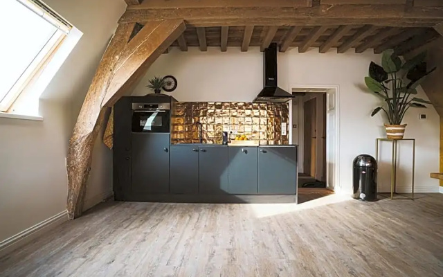 Gouden Leeuw - Goedereede (Appartement Paus Adrianus)
