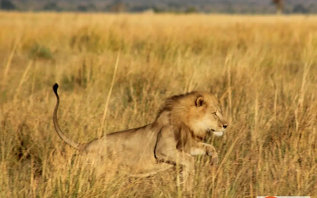 Sandpiper Villas Chobe
