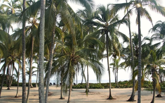 Tayrona Tented Lodge