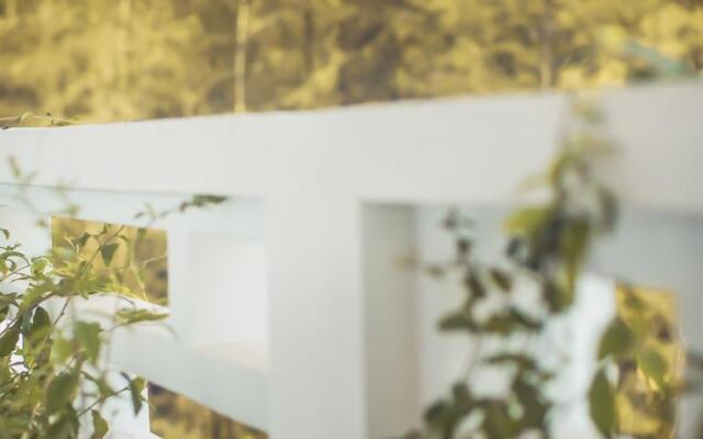 Ivy Hotel вид на фасад