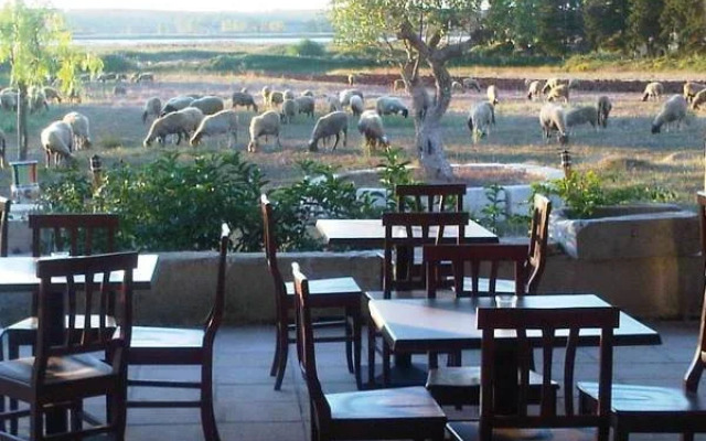 Agriturismo Podere San Michele