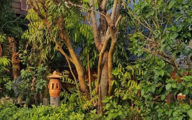 Ruean Mai Chai Khlong