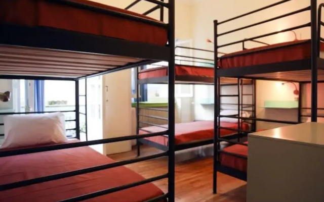 Chameleon Youth Hostel - Hostel