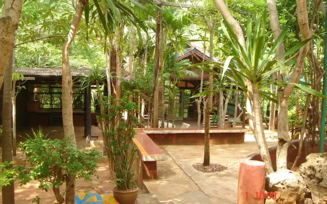 Sam's Jungle Guesthouse