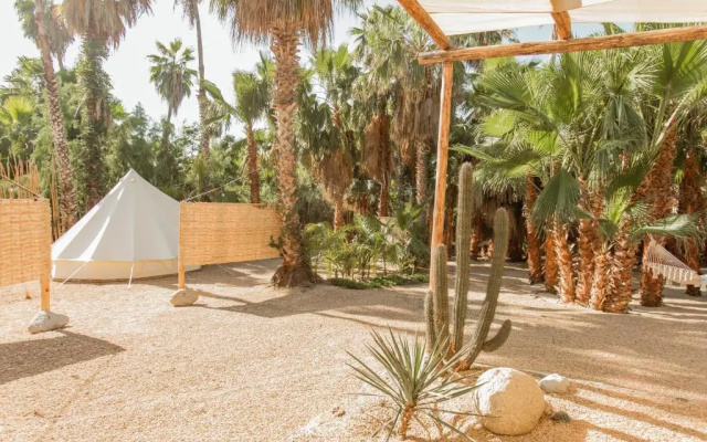 Cien Palmas Tent 1