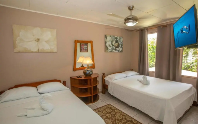 Lauras House B&B