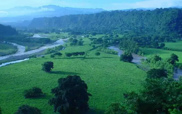 Filobobos Camp
