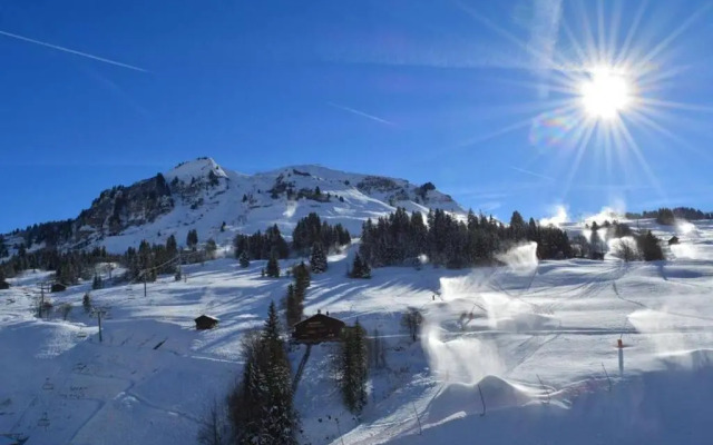 Appartement Le Grand-Bornand, 2 pièces, 6 personnes - FR-1-241-18