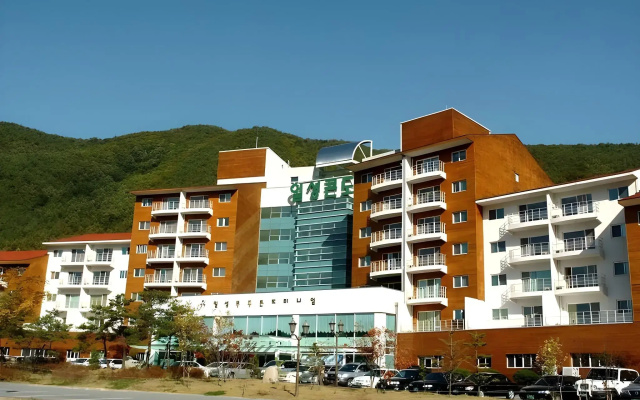 Ilsung Muju Condominium Resort