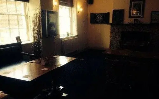The Swan