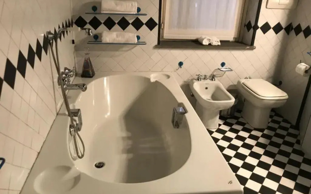 Gatto Bianco Bergamo 9