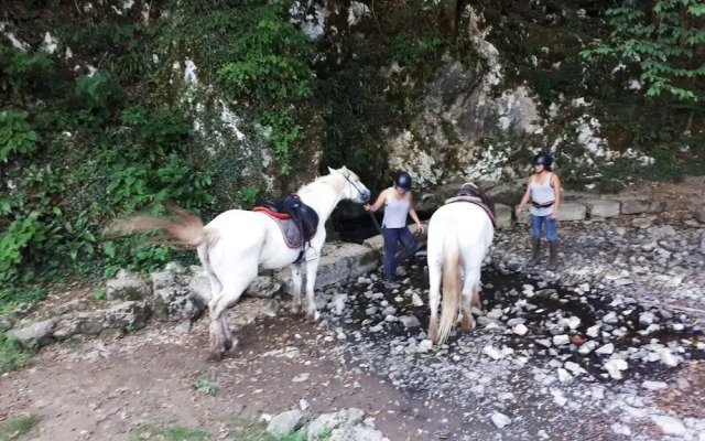 Ranch Terra