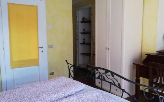 B&B Campino