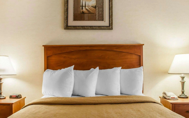 Quality Hotel & Suites At The Falls