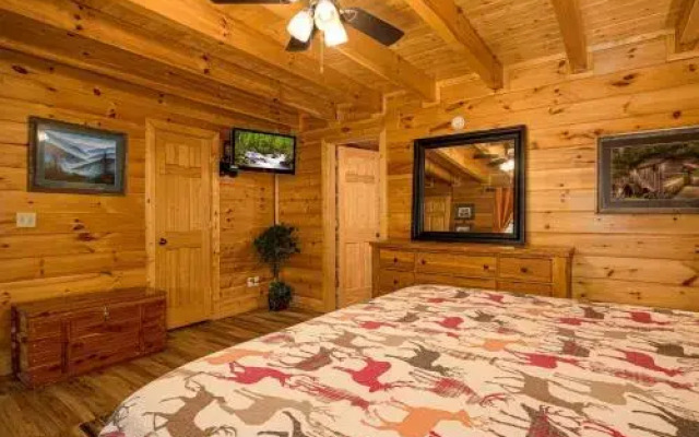 Moose Behaving 2 Br cabin by RedAwning