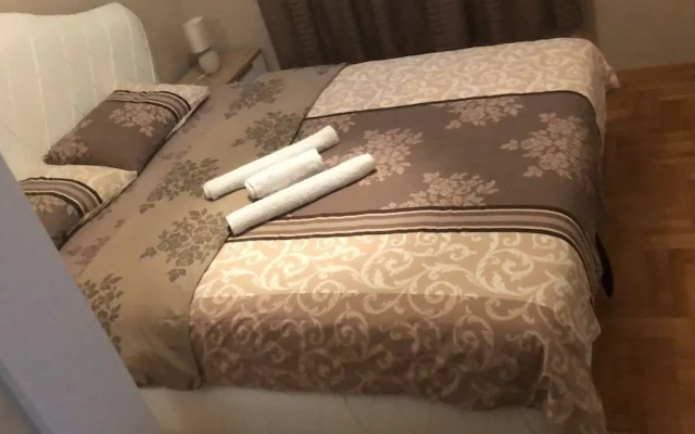 Luxury Apartment