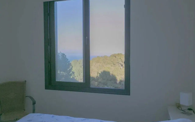 Cova sal