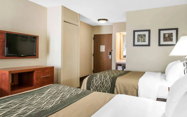 Comfort Inn Pine Grove I-81 Hershey Area