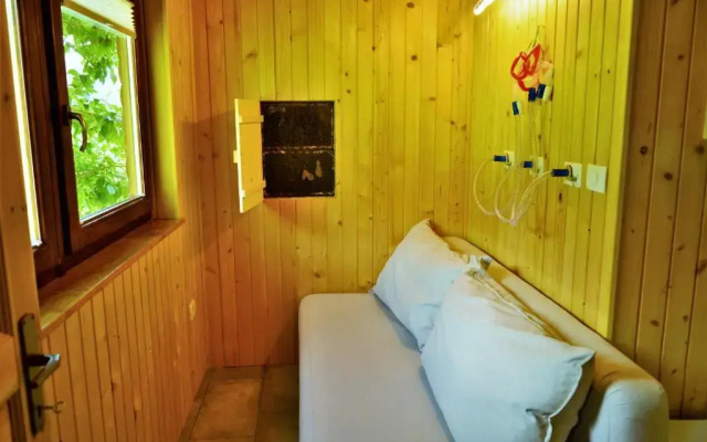 Sleeping with the bees Kozjak