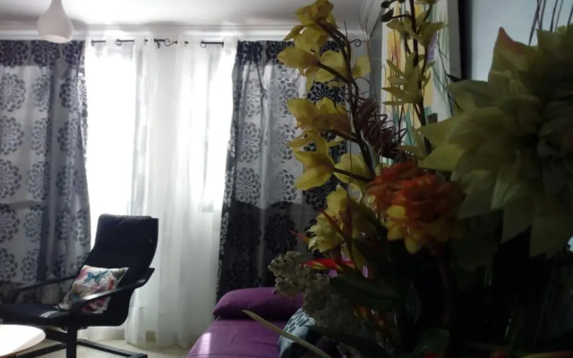 Casa Moar