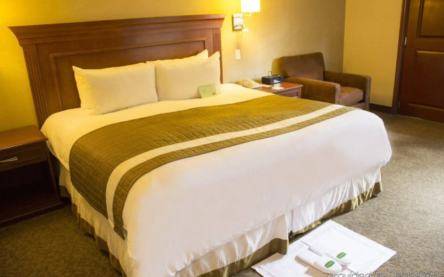 Hotel Lucerna Mexicali