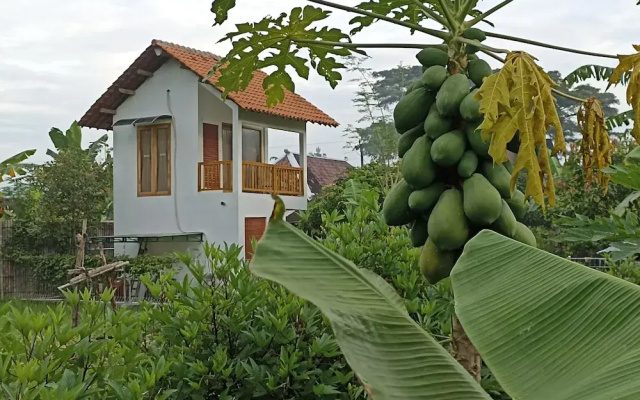 Sri Gaïa Yogyakarta