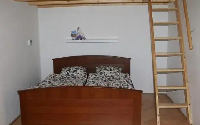 Penthouse Apartment in Vinohrady