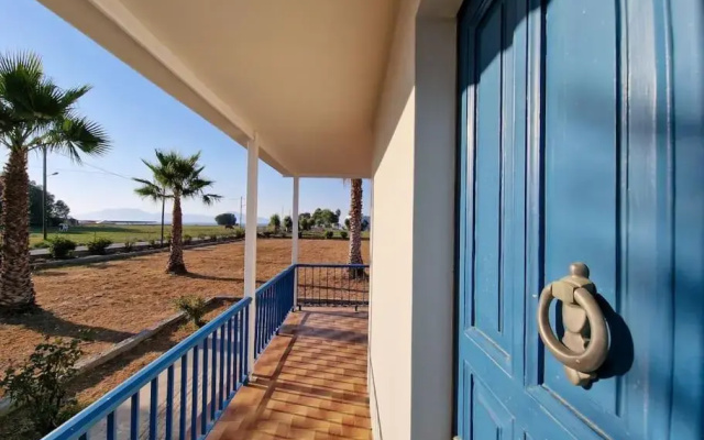 Beachlife: The Bungalow