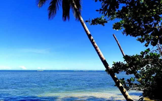 Starfish Cahuita's House - Casa Vacacional
