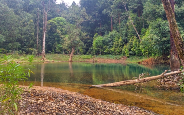 Bhagawathi Nature Camp by Jungle Lodges
