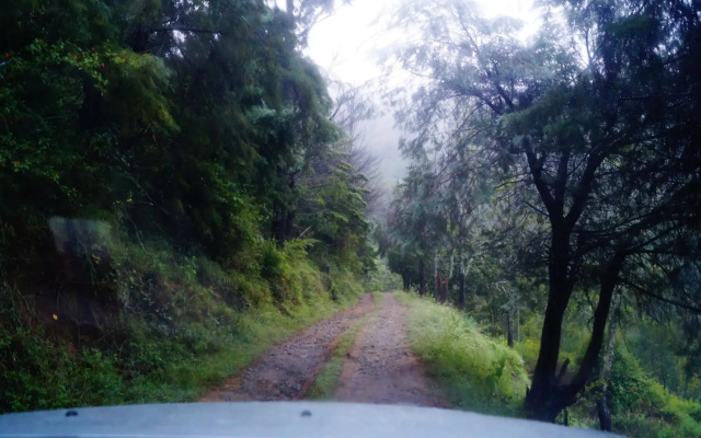 Secret Valley Jungle Resort