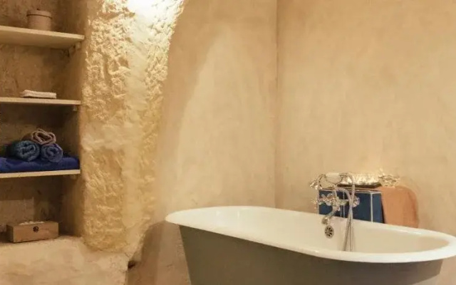 Amboise Troglodyte