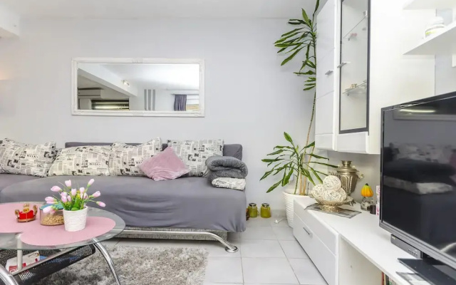 Apartment Branislava