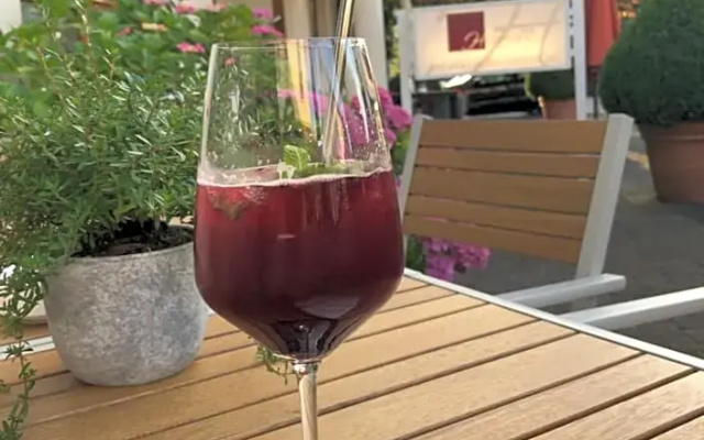 Hotel Hollmann
