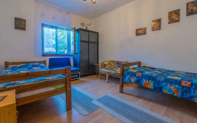 Apartments Luji
