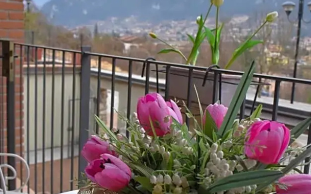 B&B Tulipano