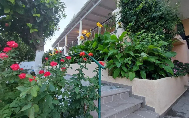 Anna Studios