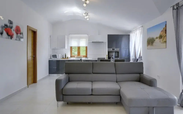 Modern Holiday Home With Pool in Pazin