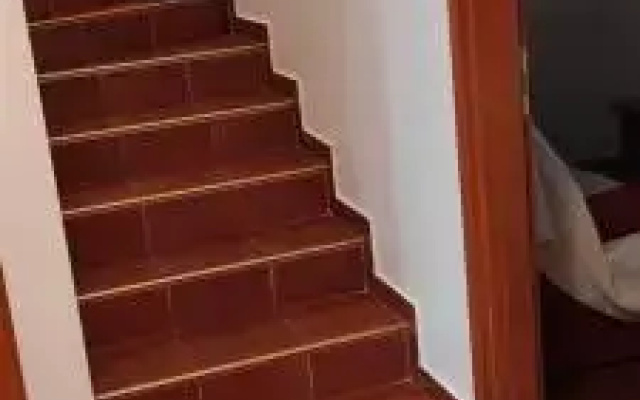 Apartment Nemarnik