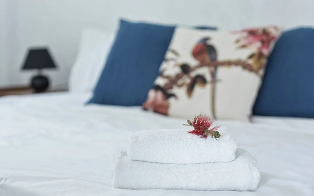 Agnanti Andros Apartments