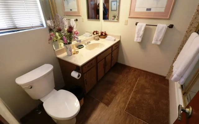 Mammoth Sierra Townhomes #21