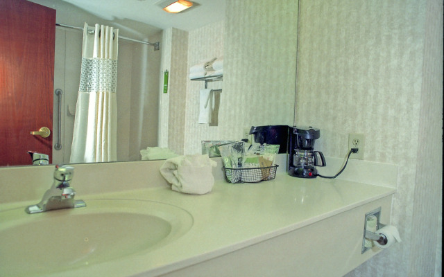 Hampton Inn Birch Run/Frankenmuth